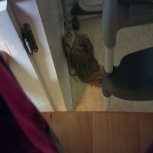 Meet your Posher, Jaycee